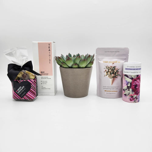 Unwind Pamper Hamper Gift Box with Succulent