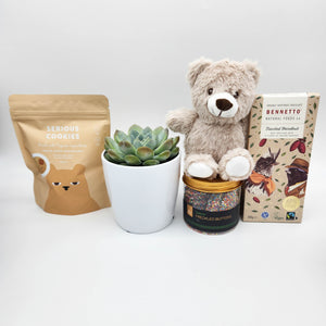 We're Here For You Gift Hamper with Succulent - Sydney Only