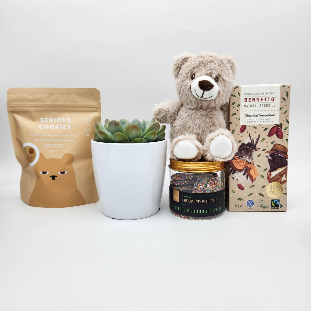 We're Here For You Gift Hamper with Succulent - Sydney Only