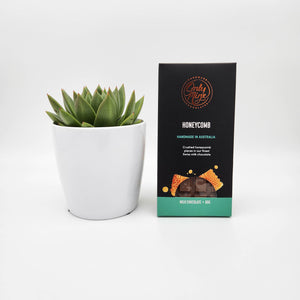 We're Thinking of You Gift - Succulent & Chocolate - Sydney Only