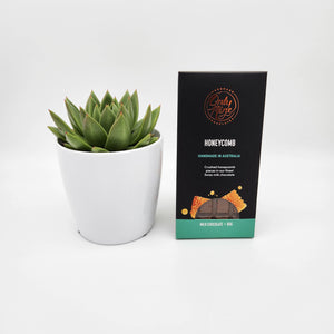 We're Thinking of You Gift - Succulent & Chocolate - Sydney Only