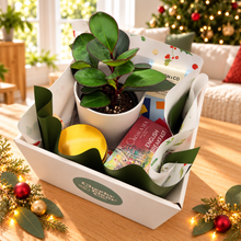 Load image into Gallery viewer, Christmas Plant Gift Hamper - Sydney Only
