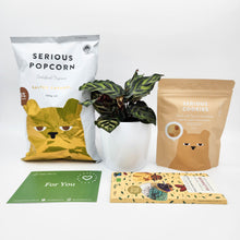 Load image into Gallery viewer, Yummy Vegan Gift Hamper with Assorted Houseplant - Sydney Only
