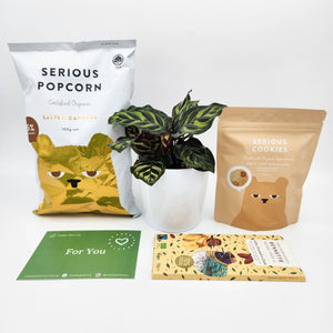Yummy Vegan Gift Hamper with Assorted Houseplant - Sydney Only