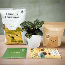 Load image into Gallery viewer, Pet Friendly Plant Gift Hamper - Sydney Only
