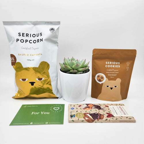 Yummy Vegan Gift Hamper with Succulent - Sydney Only