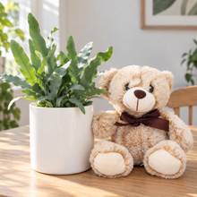 Load image into Gallery viewer, Potted Plant and Bear Gift - 120mm - Sydney Only
