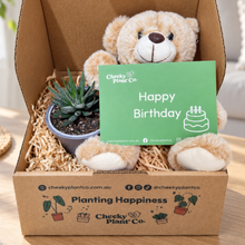 Load image into Gallery viewer, Teddy Bear &amp; Succulent Gift Box
