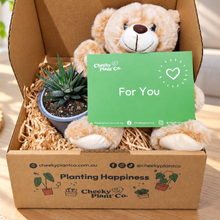 Load image into Gallery viewer, Teddy Bear &amp; Succulent Gift Box
