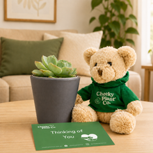 Load image into Gallery viewer, Teddy Bear &amp; Succulent Gift Box

