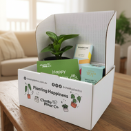 Birthday Plant Gift Box - closer product shot