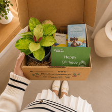 Load image into Gallery viewer, Birthday Plant Gift Box
