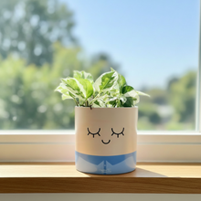 Load image into Gallery viewer, Face Swapping Pot - Moody Boyfriend - Cheeky Plant Co. Pot - 12.5cmD x 12cmH
