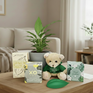 Brighter scene with smaller peace lily