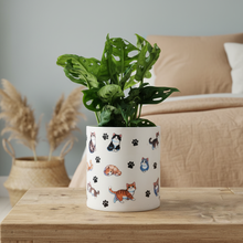 Load image into Gallery viewer, Cats Pot - Coastal Bedroom
