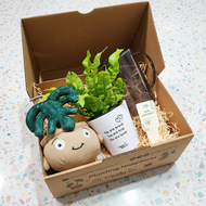 My First Plant Gift Box