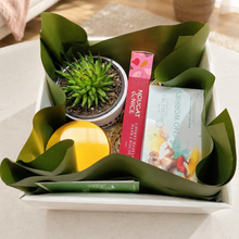 Load image into Gallery viewer, Cheeky WTF Vibes Succulent Gift Box - Sydney Only
