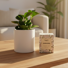 Load image into Gallery viewer, Loving Memory Condolences Gift - Plant &amp; Candle - Sydney Only
