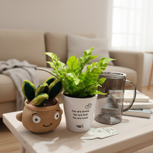 Load image into Gallery viewer, My First Plant Gift Box
