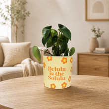 Load image into Gallery viewer, Assorted Potted Plant - CHOOSE YOUR CHEEKY POT - Sydney Only

