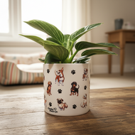Philodendron Potted Houseplant - CHOOSE YOUR CHEEKY POT