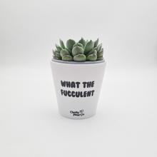 Load image into Gallery viewer, Stay Alive - Plant Care Bundle
