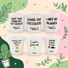 Load image into Gallery viewer, EOFY Cheeky Plant Pots Bundle
