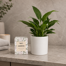 Load image into Gallery viewer, Heartfelt Condolences Gift - Peace Lily &amp; Candle - Sydney Only
