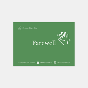 Sad to See You Go - Employee Farewell Gift Box
