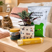 Load image into Gallery viewer, Cat Lovers - Pet Friendly Plant Gift Hamper - Sydney Only
