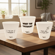 Feel-Good Trio in Homely Setting