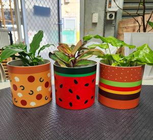 Trio Food Lover Pots Pack - Cheeky Plant Co. Pots - 12.5cmD x 12cmH