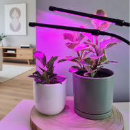 2 Headed LED Indoor Plant Grow Lights - Red/Blue - Cheeky Plant Co.