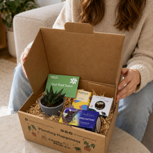 Load image into Gallery viewer, Get Well Soon Succulent Gift Box
