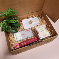 I Love You Plant Gift Box