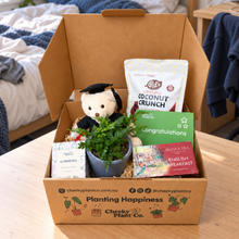 Load image into Gallery viewer, Graduation - Plant Gift Box
