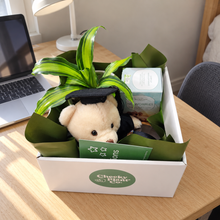 Load image into Gallery viewer, Graduation Congratulations - Plant Gift Hamper - Sydney Only
