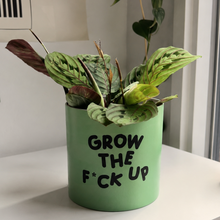 Load image into Gallery viewer, Grow the F*ck Up - Cheeky Plant Co. Pot - 12.5cmD x 12cmH
