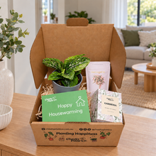 Load image into Gallery viewer, Housewarming - Plant Gift Box
