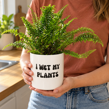Load image into Gallery viewer, Assorted Indoor Plant in 'I Wet My Plants' Pot (12.5cmDx12cmH) - Sydney Only
