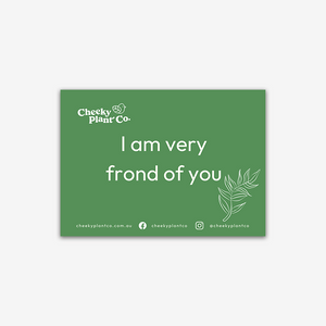 Cheeky Greeting Cards - Green