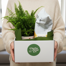 Load image into Gallery viewer, Cat Lovers - Pet Friendly Plant Gift Hamper - Sydney Only
