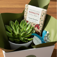 Condolence Gift Hamper - Better than Bouquets - Sydney Only