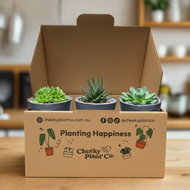 Kraft brown gift box - Image 2