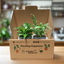 Load image into Gallery viewer, Kraft brown gift box - Image 4
