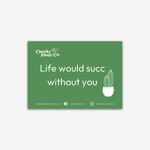 Cheeky Greeting Cards - Green