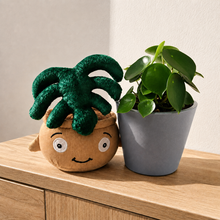 Load image into Gallery viewer, Plushie &amp; Plant Gift Box

