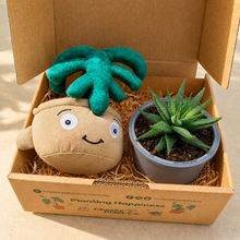 Load image into Gallery viewer, Plushie &amp; Succulent Gift Box
