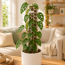 Load image into Gallery viewer, Moss Pole - Medium (40cmH) - White
