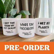 Load image into Gallery viewer, Trio Pack - Funny - Cheeky Plant Co. Pots - 12.5cmD x 12cmH
